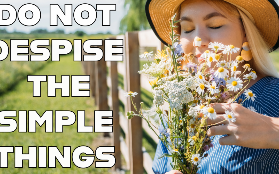 do not despise the simple things