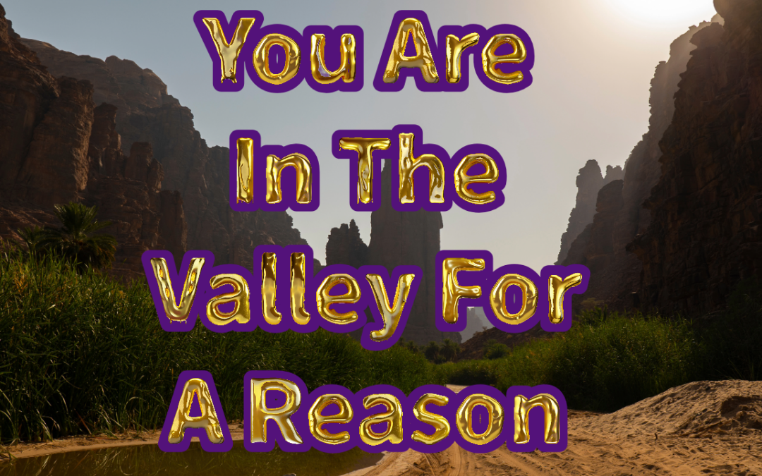 You are in the valley for a reason