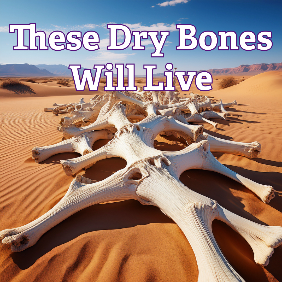 These Dry Bones Will Live These dry bones will live