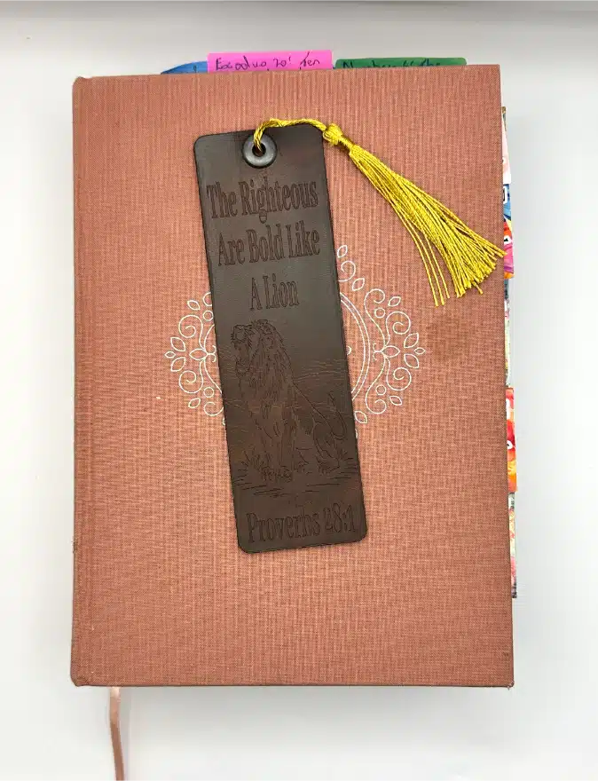 Proverbs 28:1 Bookmark 2